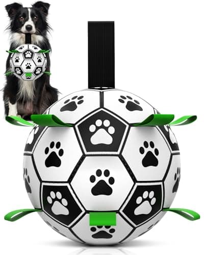HETOO Interactive Dog Football Toys with Webbing, Durable Dog Water Balls for Small Medium Breed, Indoor & Outdoor (6 Inch)